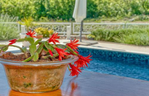 Villa Sole - Foto 29