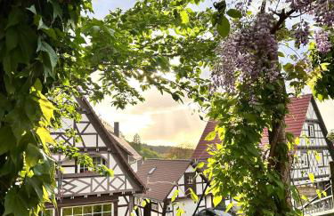 Schwarzwald Martini - Foto 22