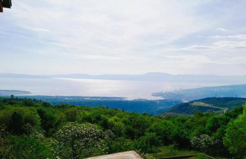 FoREST Heritage Apartment - Foto 26