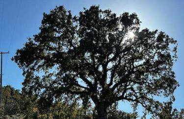 Maison de vacances pour 6 personnes - Photo 37