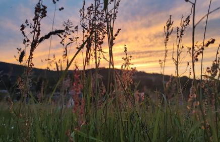 DOMKI KOLOROWE - Foto 79