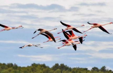 Vue imprenable sur mer- La perle de Saint Pierre La Mer - Foto 46