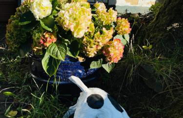 Traumhafte Auszeit direkt am Nürburgring - Foto 20