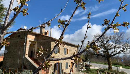 Agriturismo Arcobaleno Assisi - Photo 4