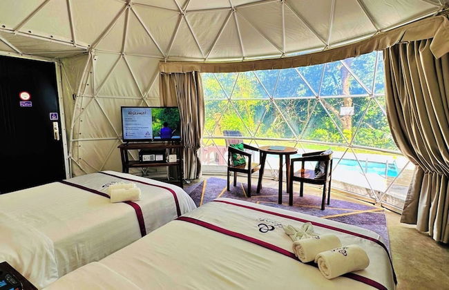 Shanti Wellness Sanctuary - Foto 18