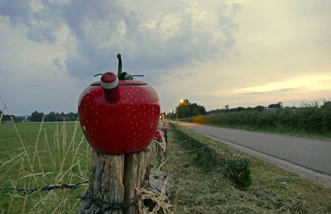 Located Near Maastricht Towards the Belgium Border - Photo 38