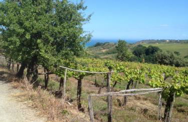 La Capanna - Foto 21