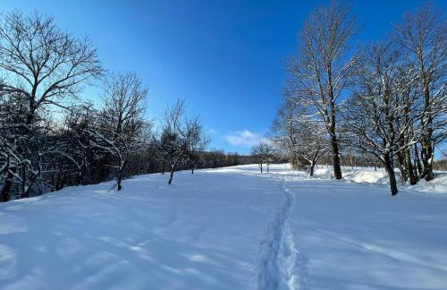 Dom Pod Dębem Agroturystyka - Foto 66