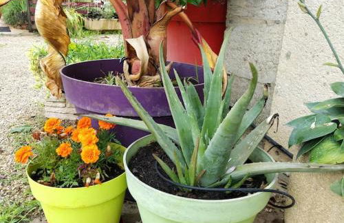 Belle Quercynoise piscine jacuzzi partagés - Foto 28