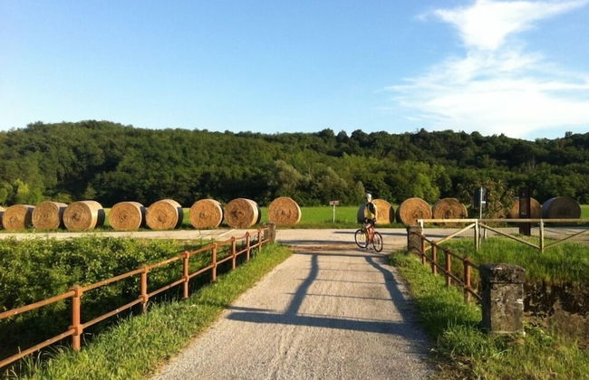 Agriturismo Zorz - Foto 28