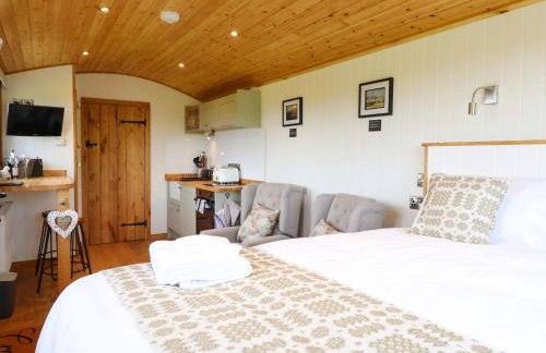 Defaid Cymreig - Foto 14