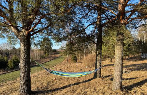 wietrznie-wichrowe wzgórze - Foto 11