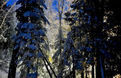 Secluded Waterfront Cabin Rental on Lake Superior near Red Cliff, Wisconsin - Foto 79