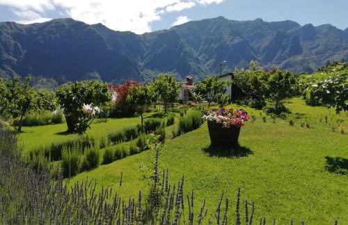 Granny's farm - Foto 17