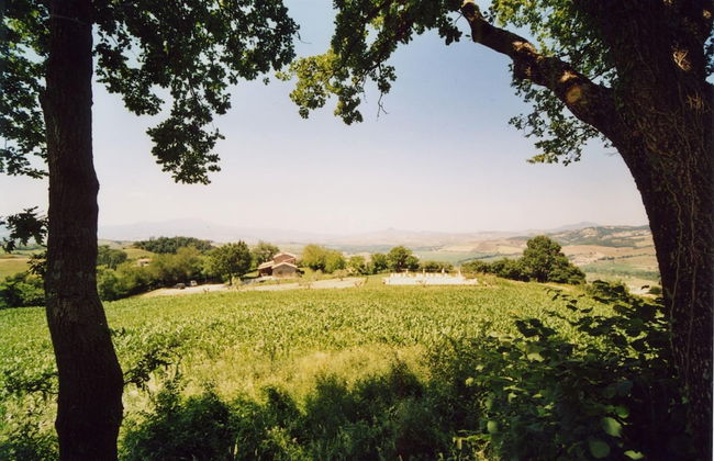 Farmhouse in Proceno With Pool - Foto 40