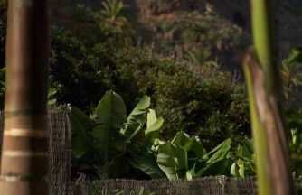 Hacienda El Socorro - Foto 45