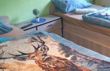 Monteur- und Ferienwohnung Waldrauschen - Foto 19