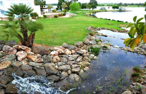 Herdade dos Grous - Foto 24