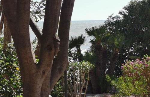 Giardino sul Mare - Foto 3