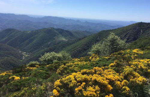 Appartement l'Espérou - Foto 11