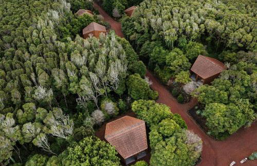 Alma do Pico - Nature Residence - Photo 23