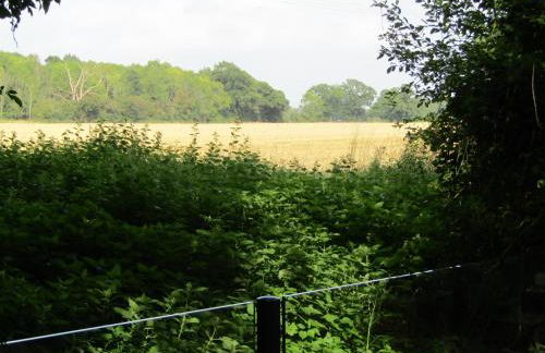 The Lily Pad Suffolk - Foto 22