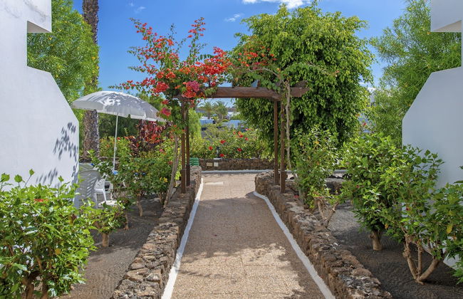 Apartamentos Camels Spring - Foto 48