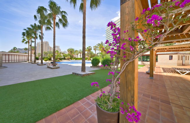 Coral Beach 02 - Foto 8