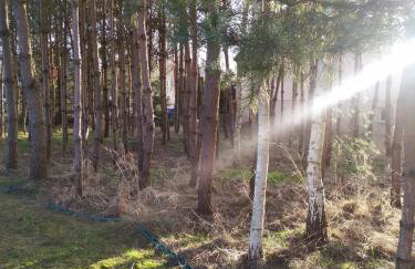 Wiejska Chata u Emili - Foto 29