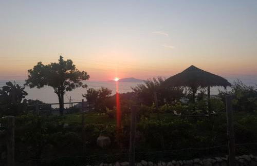 Agriturismo del Sole - Foto 86