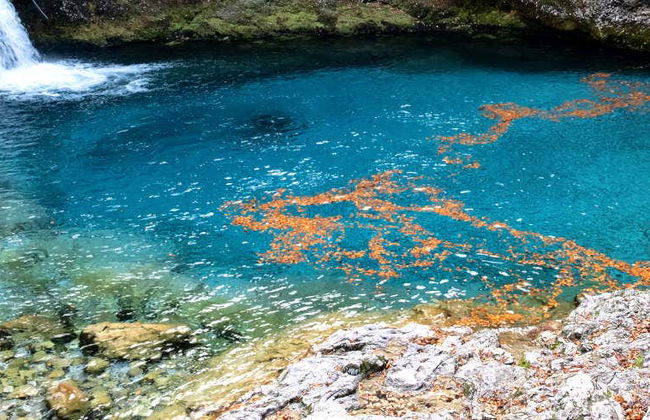 Excursion à la source Blue Eye - Photo 1
