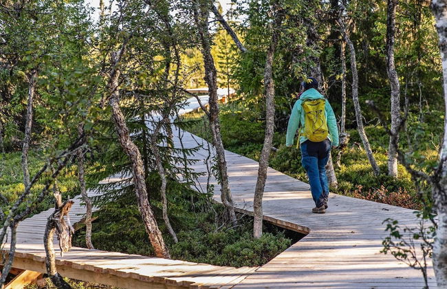 8 Person Holiday Home in Lofsdalen - Foto 19