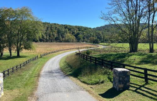 5 King Beds - Sleeps 18 - Game Room - Brew Trail - Foto 74