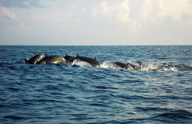 Ciliks Beach Garden - Foto 30