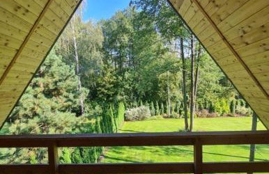 Leśne zacisze nad Narwią - Foto 41