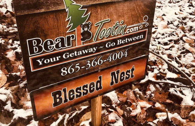 Blessed Nest - Photo 18