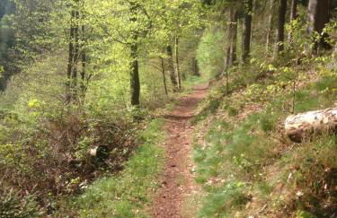 Dicker Stein - Foto 26