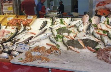 CasALE Sampó - Foto 26