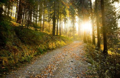 Cozy City Apartment Daun - Ferienwohnung - Photo 20