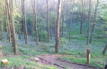 Low Nook Farm Holiday Cottage - Foto 26