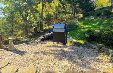 The Treehouse on Table Rock - Foto 33