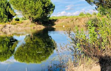 Casas das Piçarras - Alentejo - Foto 33