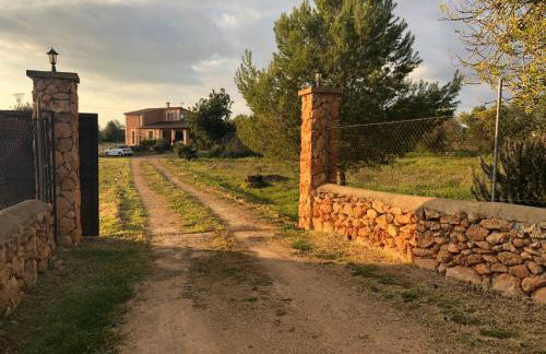 Finca Can Alba - Photo 24