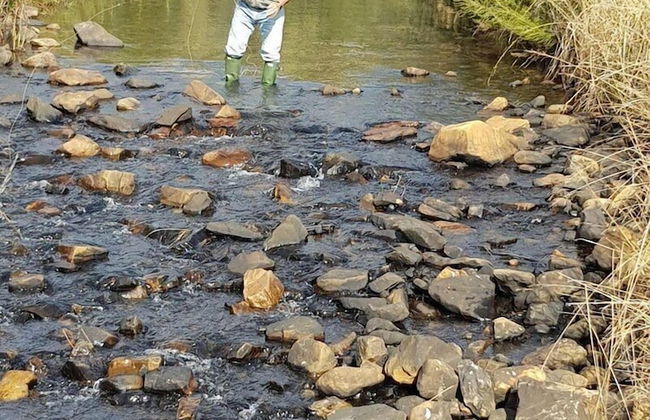 Field and Stream - Foto 40