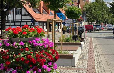 Siedlisko Wytowno - Foto 27