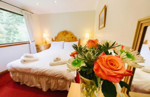 The Buzzard Lodge 2 bedroom sleeps up to 4 - Foto 14