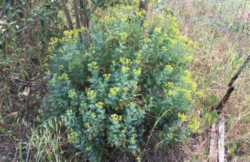 Villa Mezanine - Foto 11