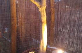 Sunrise Monsaraz Blue - Casa com 2 quartos Jardim - Foto 26