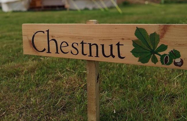 Chestnut 6m xl Bell Tent, log Burner, nr Whitby - Foto 2