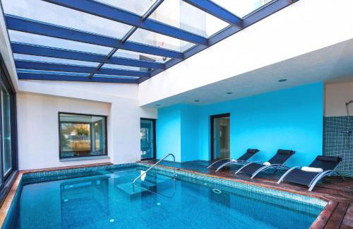 Gira-sol Planetcostadorada - Foto 23